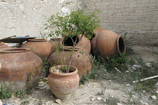 Tour image 11
